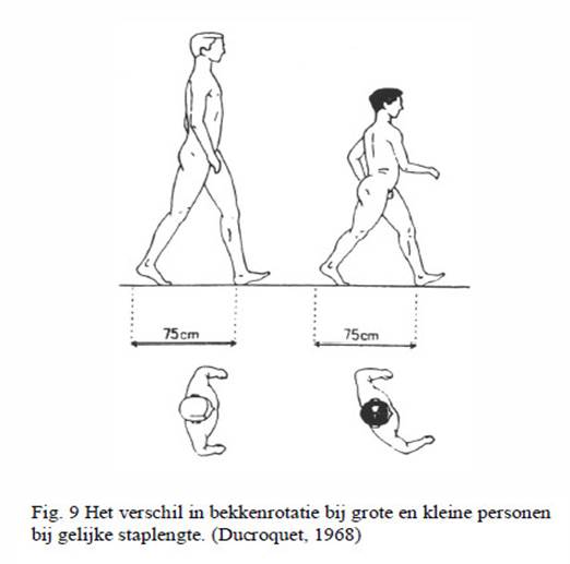 Compensatiebeweging in de heupen